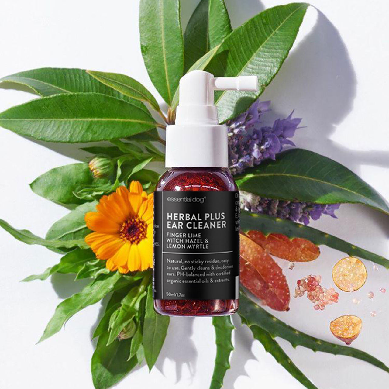 Herbal Ear Cleaner: Witch Hazel, Finger Lime and Lemon Myrtle