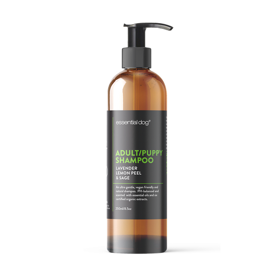 Puppy Shampoo: Lavender, Lemon Peel and Clary Sage (ADULTS & PUPPIES)