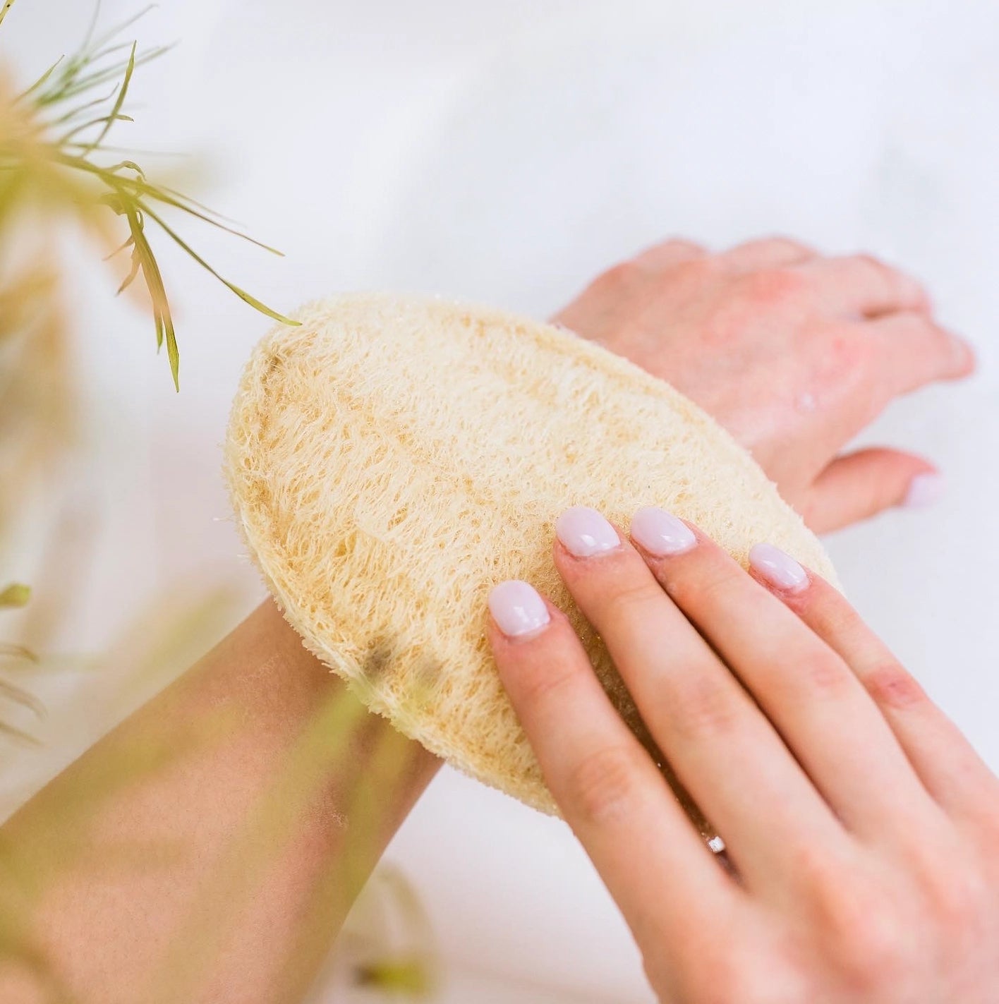 Natural Loofah Sponge