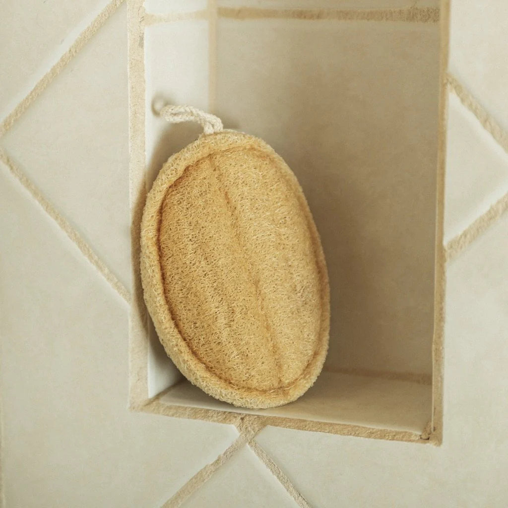 Natural Loofah Sponge
