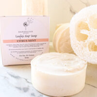 Citrus Mint Tallow Loofah Bar Soap